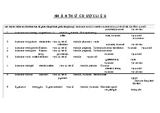 Nhận thức dược liệu các loại thảo dược | Đại học Y Dược Thành phố Hồ Chí Minh