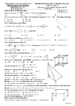 Đề cuối học kì 2 Toán 11 năm 2021 – 2022 trường THPT Nguyễn Huệ – Đắk Lắk