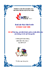 Báo cáo thực hành môn Vi sinh vật học | Trường Đại học Công nghiệp Thành phố Hồ Chí Minh