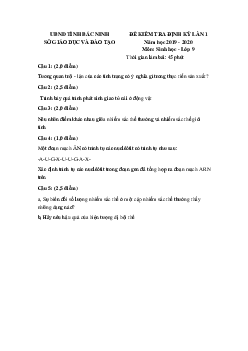 Đề thi học kì 1 lớp 9 môn Sinh học Sở GD&ĐT Bắc Ninh năm 2019 - 2020