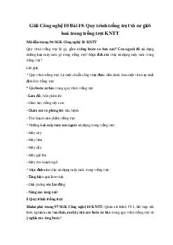 Giải Công nghệ 10 Bài 19: Quy trình trồng trọt và cơ giới hoá trong trồng trọt KNTT