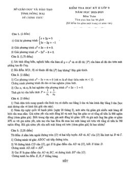 Đề kiểm tra học kỳ 2 Toán 9 năm 2022 – 2023 sở GD&ĐT Đồng Nai