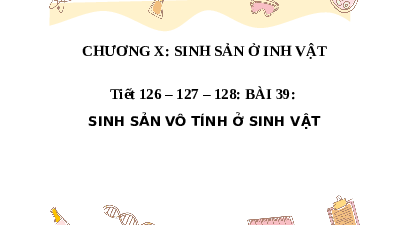 Giáo án điện tử Khoa học tự nhiên 7 bài 39 Kết nối tri thức : Sinh sản vô tính ở sinh vật