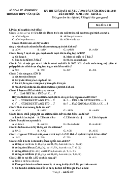 Đề thi khảo sát môn Sinh lớp 11| Kết nối tri thức