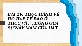 Giáo án điện tử Khoa học tự nhiên 7 bài 26 Chân trời sáng tạo : Thực hành về hô hấp tế bào ở thực vật thông qua sự nảy mầm của hạt