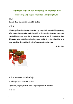 Soạn bài Viết: Luyện viết đoạn văn miêu tả cây cối | Kết nối tri thức