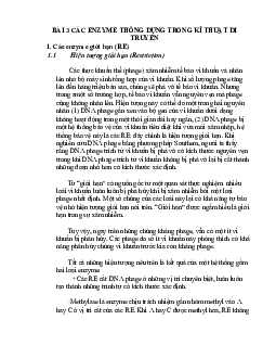Lý thuyết về các Enzyme thông dụng trong kỹ thuật di truyền
