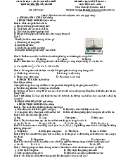 Đề kiểm tra giữa học kỳ 1 năm học 2025 – 2026 môn Khoa học tự nhiên lớp 9