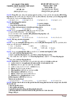 Đề thi thử THPTQG lần I năm 2019-2020 môn sinh học sở GD Vĩnh Phúc Trường THPT Ngô Gia Tự (có đáp án)