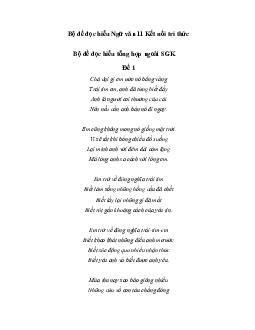 Bộ đề đọc hiểu Ngữ văn 11 Kết nối tri thức với cuộc sống