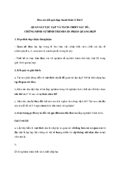 Giải Sinh học 11 Bài 5: Thực hành Quan sát lục lạp và tách chiết sắc tố; chứng minh sự hình thành sản phẩm quang hợp | Chân trời sáng tạo