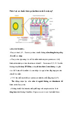 Tổng hợp Dược lý: Phân loại thuốc kháng nấm theo cơ chế tác dụng môn Sinh học về thực vật | Trường Đại Học Tây Nguyên
