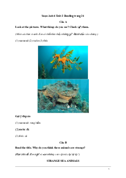 Tiếng Anh 6 Unit 3: Reading | Explorer English