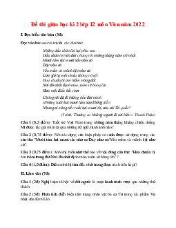 Đề thi giữa học kì 2 lớp 12 môn Văn năm 2022 Đề 4