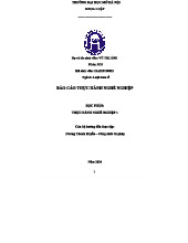 BÁO CÁO THỰC TẬP NGHỀ NGHIỆP 1 - LUẬT KINH TẾ - NĂM 2024