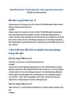 Giải SGK Sinh học 11 Cánh Diều bài 1: Khái quát về trao đổi chất và chuyển hóa năng lượng