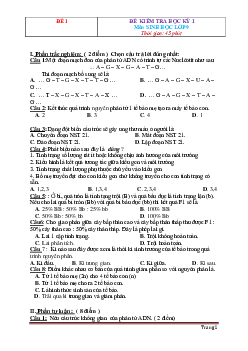 TOP 20 Đề thi HK1 môn Sinh học 9 (có đáp án)