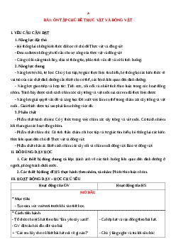 Giáo án Khoa học lớp 4 Ôn tập Chủ đề Thực vật và Động vật | Cánh diều