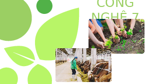 Giáo án điện tử Công nghệ 7 Bài 6 Chân trời sáng tạo: Rừng ở Việt Nam