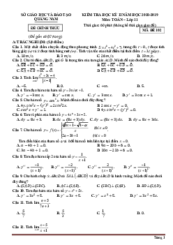 Đề thi học kỳ 2 môn Toán lớp 11 Quảng Nam 2018-2019 (có đáp án)