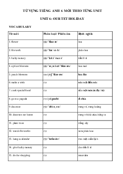 Từ vựng Unit 6 lớp 6 Our Tet Holiday