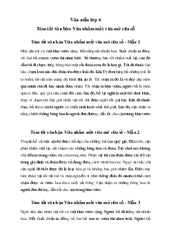 Tóm tắt văn bản Vừa nhắm mắt vừa mở cửa sổ (7 mẫu) - Chân Trời Sáng Tạo