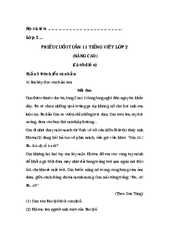Phiếu Bài tập cuối tuần Tiếng Việt lớp 2 - Học kì 1 | Cánh diều Tuần 11 nâng cao