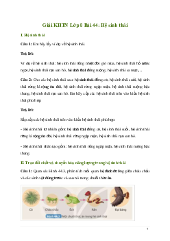 Giải KHTN 8 Bài 44: Hệ sinh thái | Kết nối tri thức