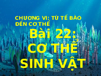 Giáo án điện tử Khoa học tự nhiên 6 bài 22 Chân trời sáng tạo : Phân loại thế giới sống