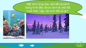 Giáo án điện tử Khoa học tự nhiên 8 Bài 44 Kết nối tri thức: Hệ sinh thái