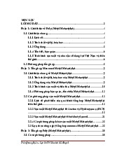 Tổng hợp Poly Metyl Metacrylat - Hoá học