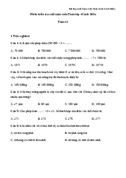 Phiếu bài tập cuối tuần lớp 4 môn Toán nâng cao Tuần 11 Cánh Diều