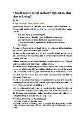 Ngộ sát là gì? Tội ngộ sát là gì? Ngộ sát có phải chịu tội không?