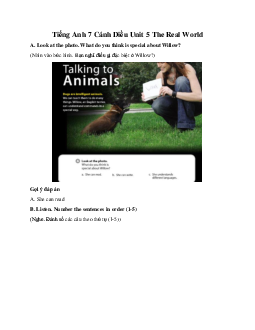 Tiếng Anh 7 Cánh Diều Unit 5 The Real World