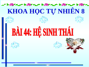 Giáo án điện tử Khoa học tự nhiên 8 Bài 44 Kết nối tri thức: Hệ sinh thái