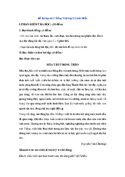 Đề thi học kì 2 Tiếng Việt lớp 3 | Cánh Diều Số 3
