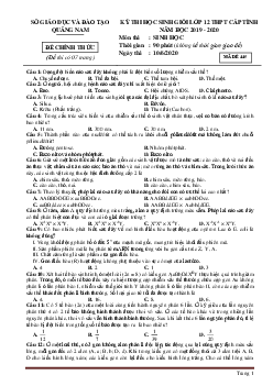 Đề thi học sinh giỏi lớp 12 THPT cấp tỉnh năm học 2019-2020 môn sinh học sở GD Quảng Nam (đề 445, có đáp án)