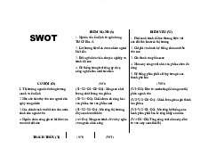 Mô hình SWOT TH True Milk - Nghiên cứu marketing | Đại học Mở Thành phố Hồ Chí Minh