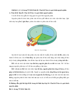 Giải bài tập trang 75 SGK Sinh học lớp 10: Chu kì tế bào và quá trình nguyên phân