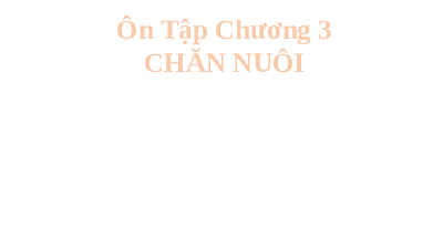 Ôn tập chương 3: Chăn nuôi | Bài giảng PowerPoint Công nghệ 7 | Kết nối tri thức
