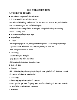 Tóm tắt lý thuyết Sinh học 10 bài 8: Tế bào nhân thực