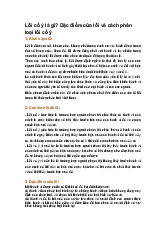 Lỗi cố ý là gì? Đặc điểm của lỗi và cách phân loại lỗi cố ý