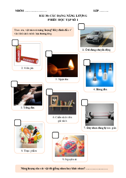 Chủ đề 10. Bài 30: Các dạng năng lượng(Phiếu học tập) | Bài giảng KHTN 6 | Cánh diều