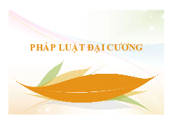 Bài giảng Chương 1-Khái quát môn học | Pháp luật đại cương