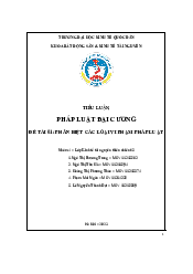 Phân biệt các loại vi phạm pháp luật - Nhóm 4| Đại học Kinh Tế Quốc Dân