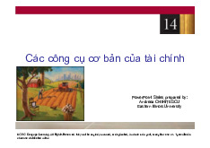 Silde bài giảng chương 14: Các công cụ cơ bản của tài chính | Môn kinh tế vi mô