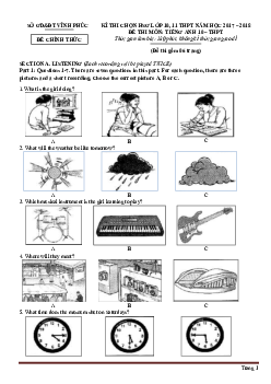 Đề thi chọn HSG Tiếng Anh 10 tỉnh Vĩnh Phúc 2017-2018 (có đáp án)