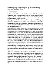 Đại bàng là gì? Đại bàng ăn gì và cách chúng săn mồi như thế nào?