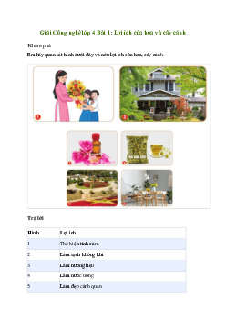 Giải Công nghệ lớp 4 Bài 1: Lợi ích của hoa và cây cảnh | Cánh diều