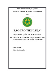 Phân tích chiến lược marketing tại Công ty CP Tập đoàn Ecopark môn Chuyên ngành Marketing | Học viện Nông nghiệp Việt Nam